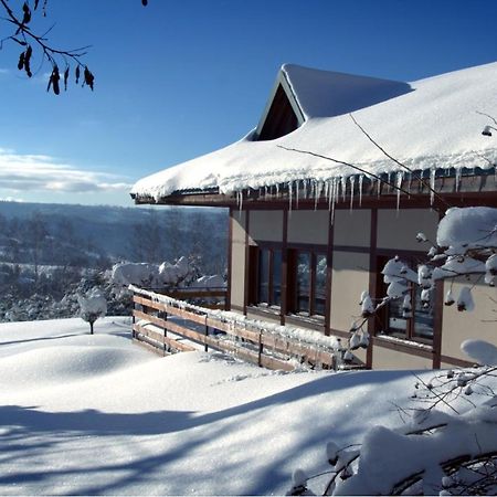 Dom Przy Lesie Villa Wisła Exteriör bild